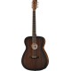 Tanglewood TWCR O E