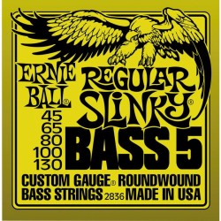Ernie Ball Regular Slinky Bass 045 - 130